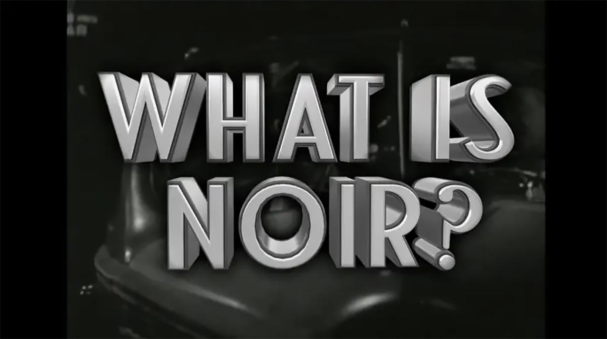 What Is Noir Elka Ray